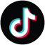 TikTok Icon